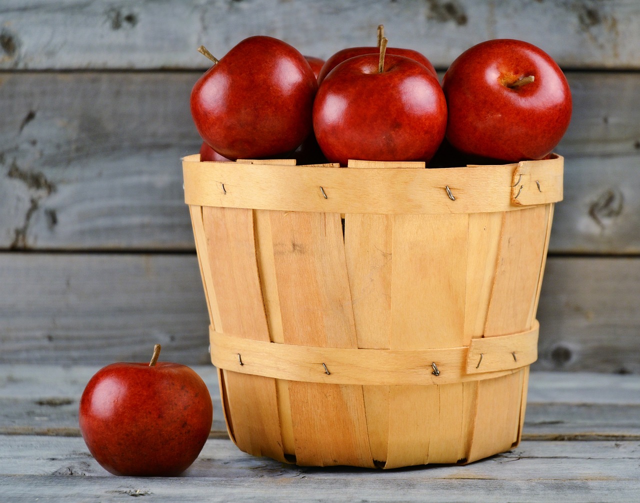How to Create Your Own Backyard Orchard